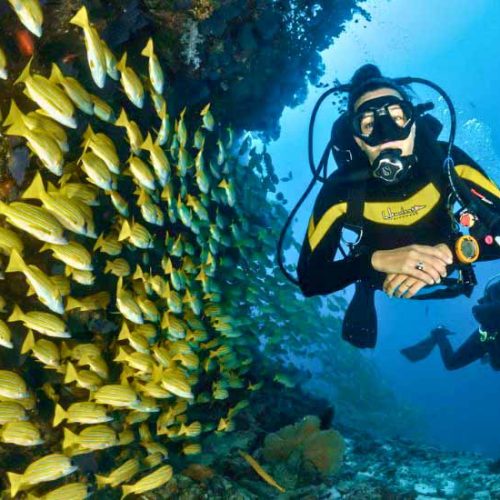 Scuba Diving in Goa - 1